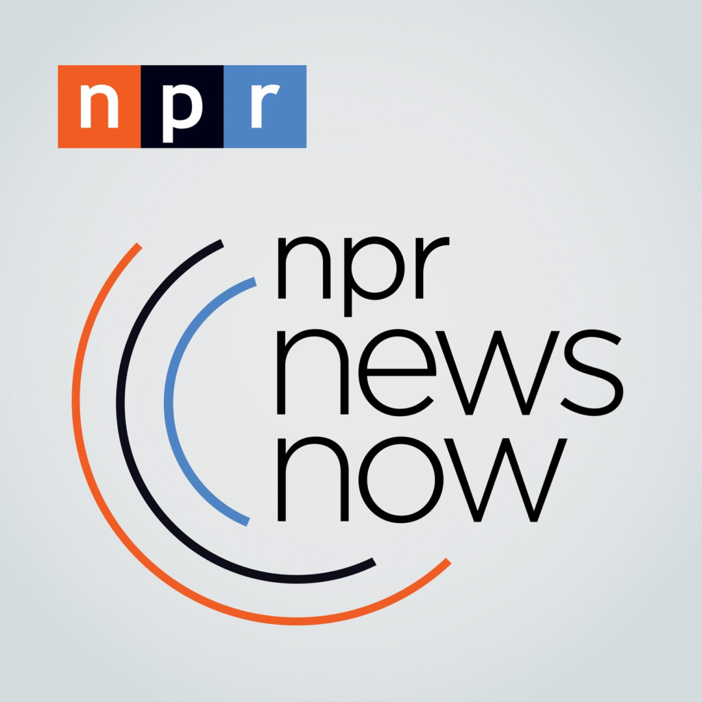 NPR 뉴스 나우 로고 디자인